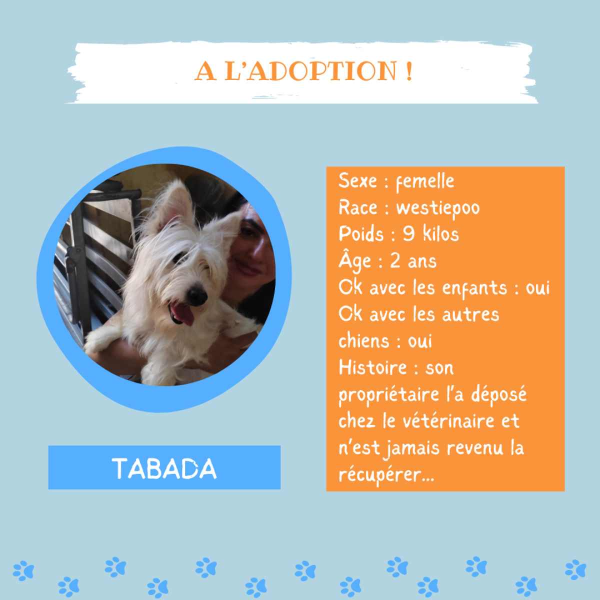 Adoption / Adoption de chien - Adoptez TABADA : URGENCE